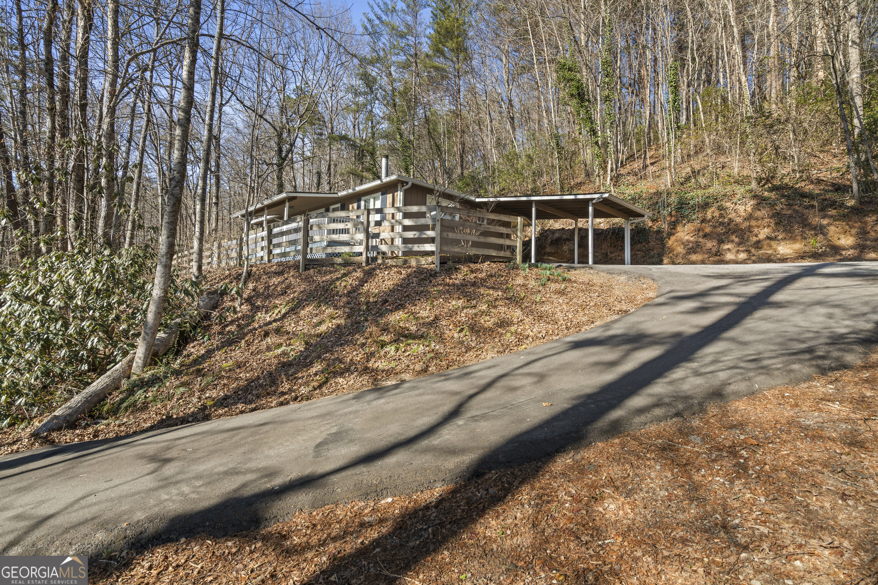1131 Joe Davis Road Tiger, GA 30576 - Photo 6 of 45 a view of a yard with street