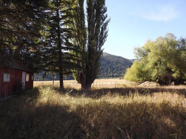 3397 Deep Lake Boundary Road Colville, WA 99114 - Photo 3 of 20 Gallery Image 3