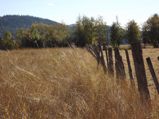 3397 Deep Lake Boundary Road Colville, WA 99114 - Photo 9 of 20 Gallery Image 9