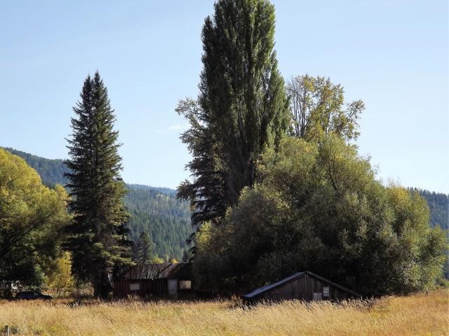 3397 Deep Lake Boundary Road Colville, WA 99114 - Photo 10 of 20 Gallery Image 10