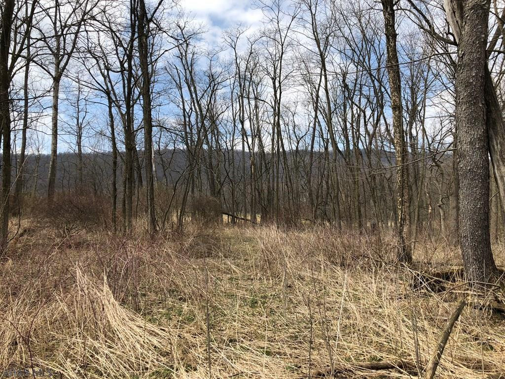 Off Dibert Road Everett, PA 15537 - Photo 11 of 23 Gallery Image 11
