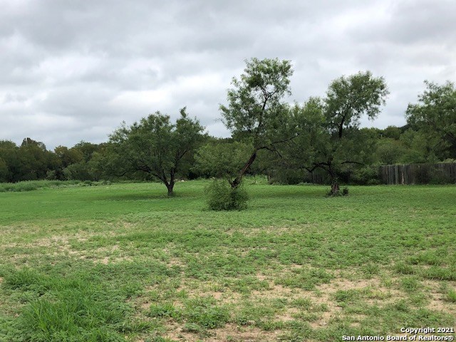 25 Rio Seco Drive Uvalde, TX 78801 - Photo 2 of 5 a view of a garden with a tree