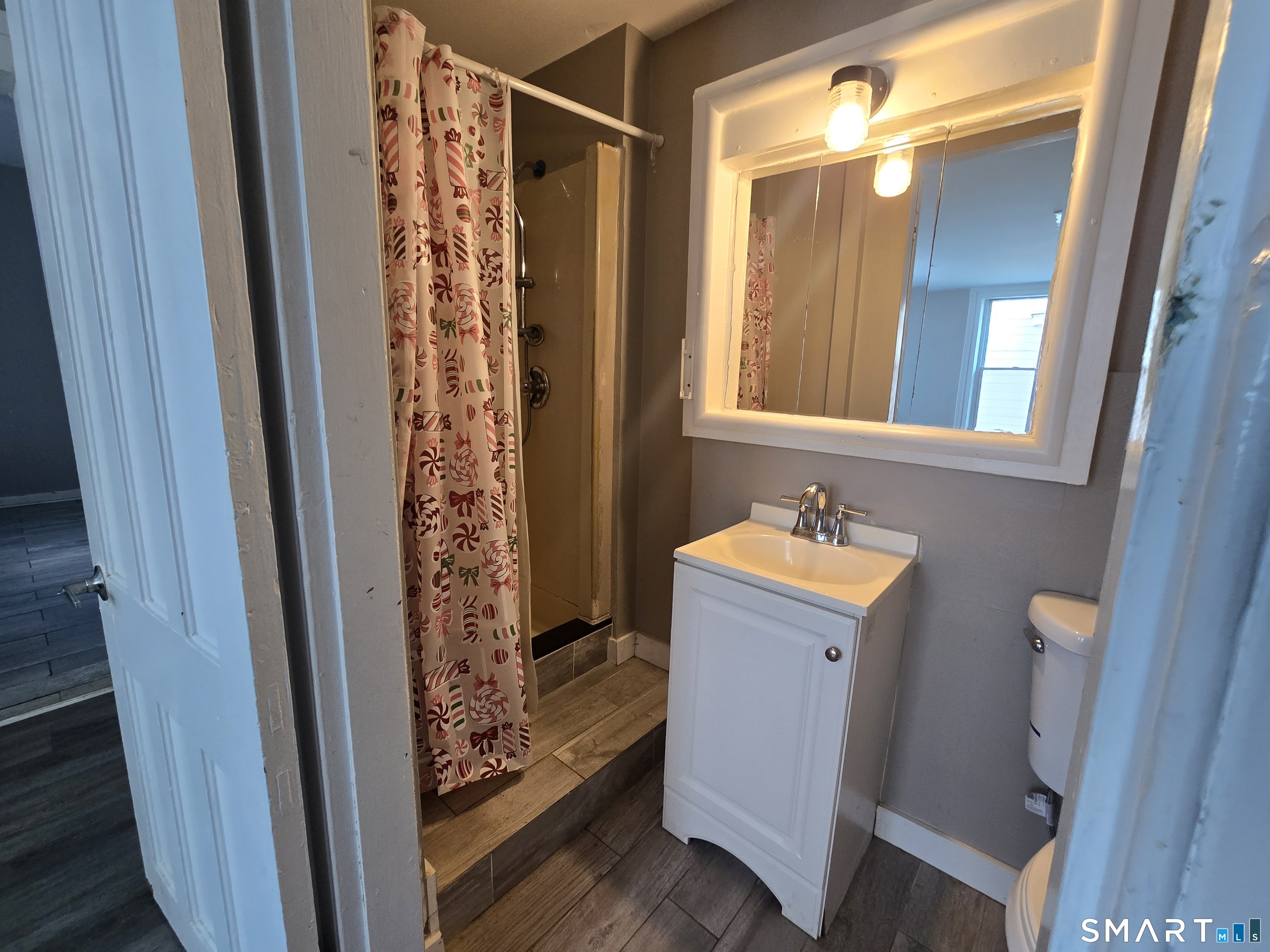 a bathroom with a sink a mirror and a shower