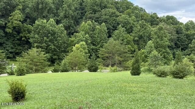 2410 Perilla Road Cosby, TN 37722 - Photo 37 of 50 PERILLA VIEW 2