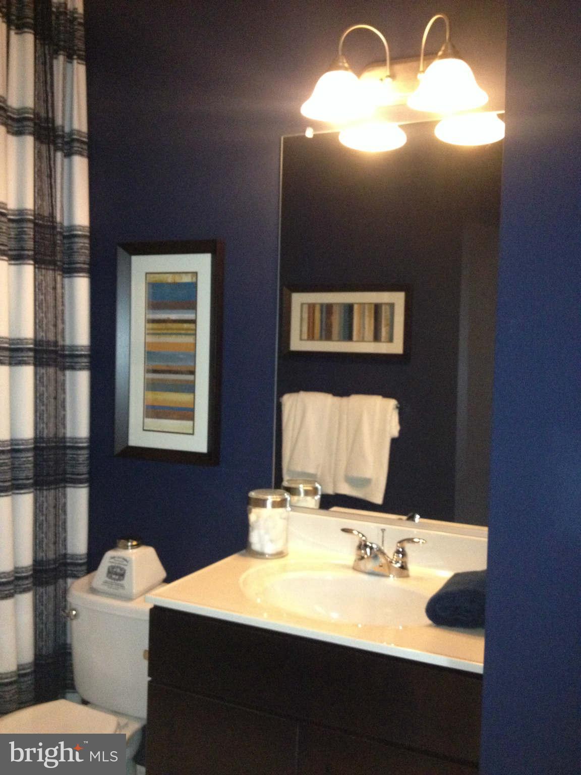 3405 Spring Club Drive, Unit 52 Silver Spring, MD 20904 - Photo 18 of 24 Bath