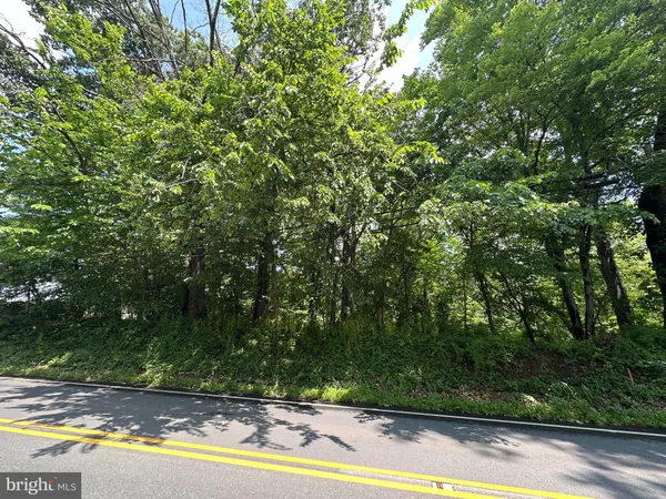 $24,900 | 1 15 /- Acres Street, Brunswick, MD 21716