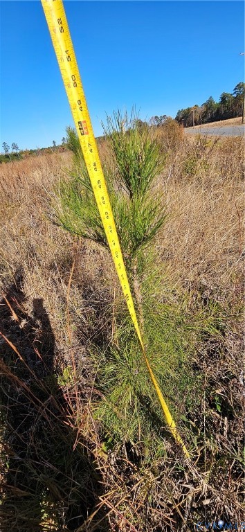 36-201a Hussey's Creek Road Warsaw, VA 22572 - Photo 2 of 6 a view of mountains