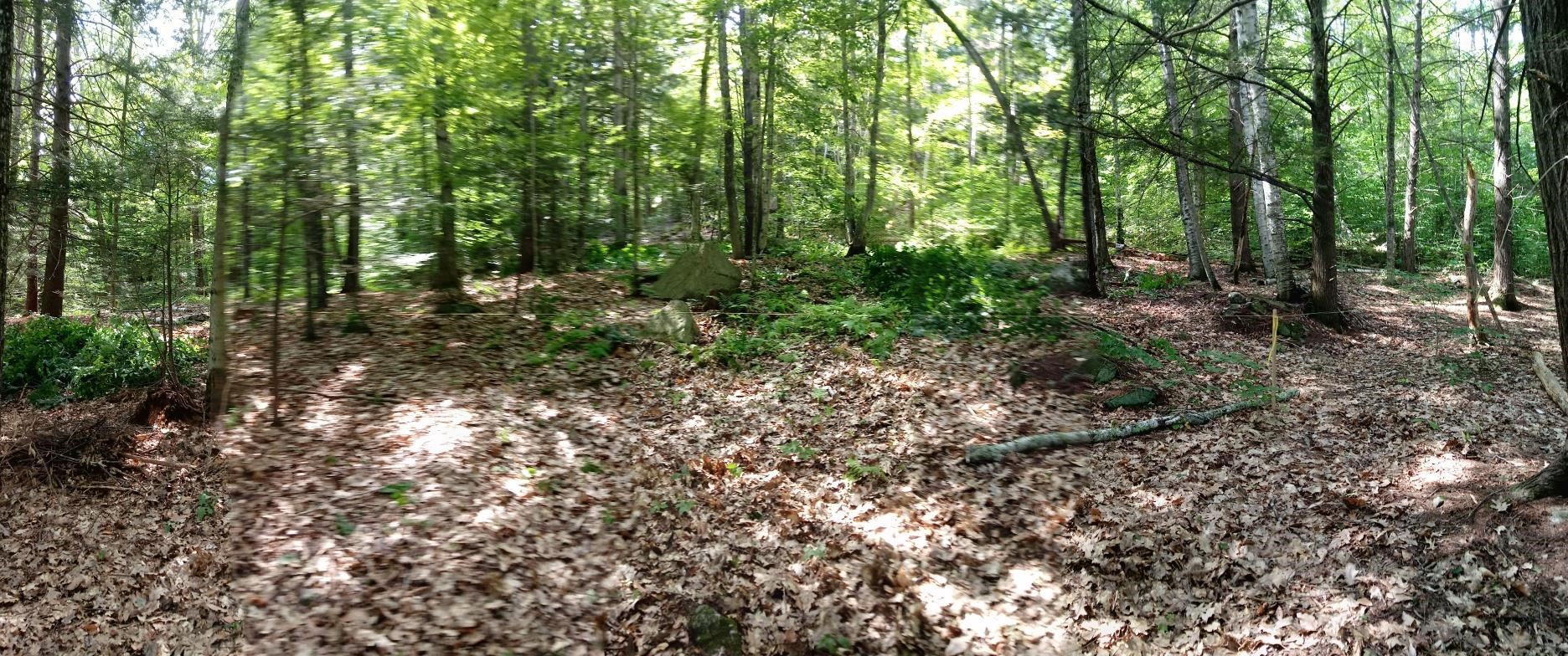 420 Sutton Road Newbury, NH 03255 - Photo 1 of 8