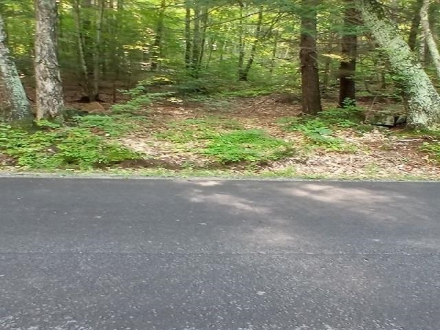 420 Sutton Road Newbury, NH 03255 - Photo 2 of 8