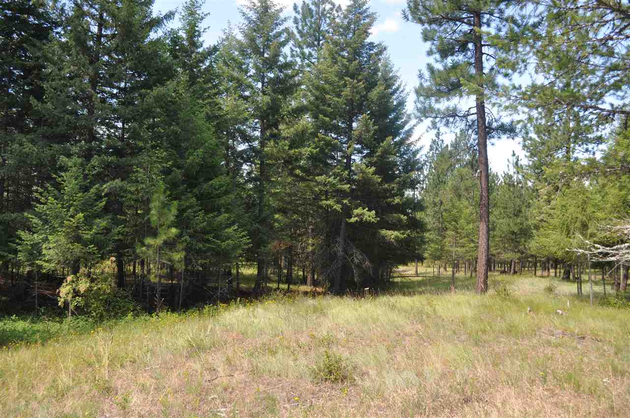 Parcel C Regal Road Elk, WA 99009 - Photo 1 of 5