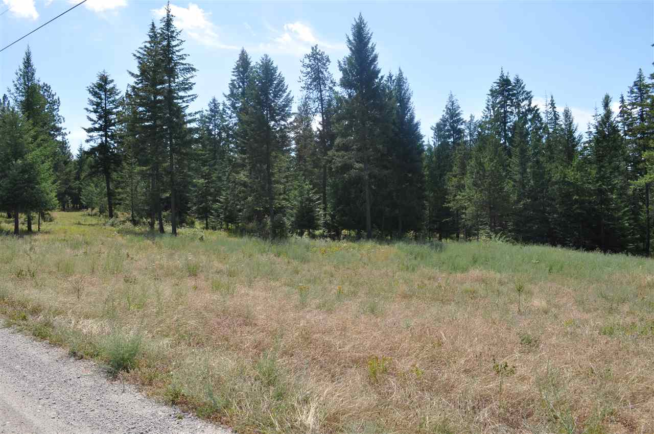 Parcel C Regal Road Elk, WA 99009 - Photo 2 of 5