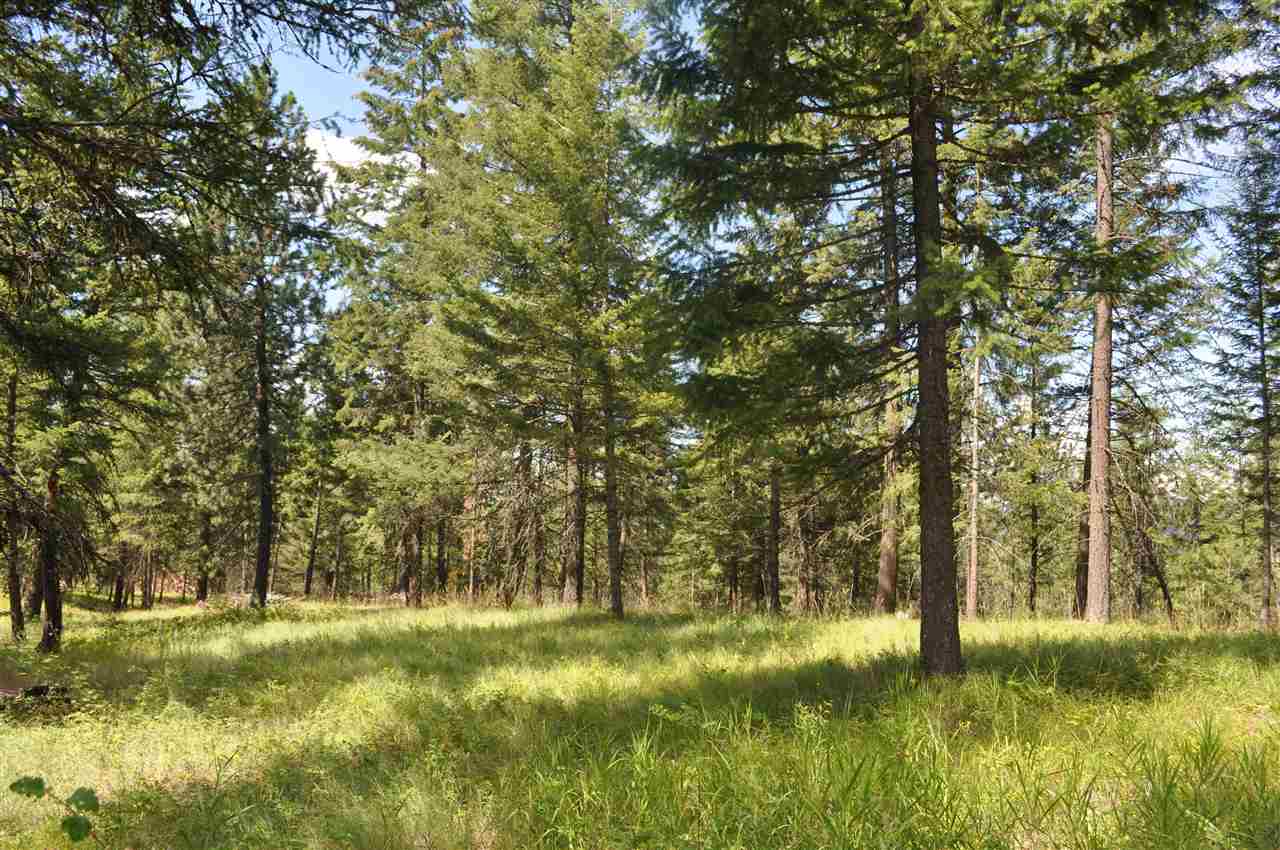 Parcel C Regal Road Elk, WA 99009 - Photo 3 of 5