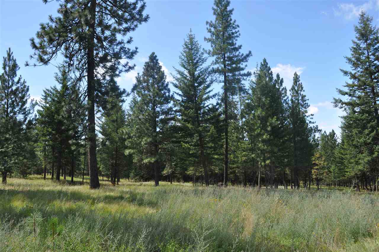 Parcel C Regal Road Elk, WA 99009 - Photo 5 of 5