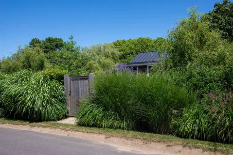 a view of a garden with potted plants and large trees