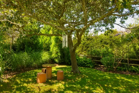 a view of a lush green space