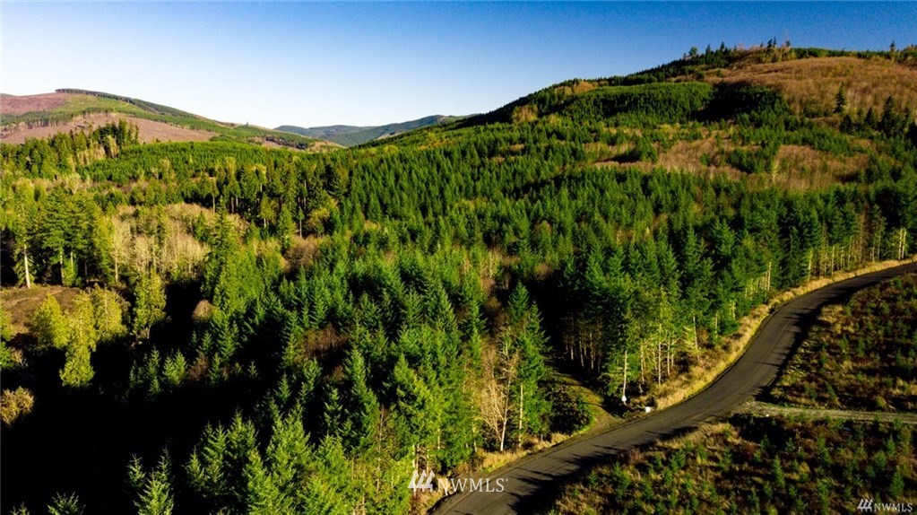 201 Young Road Kelso, WA 98626 - Photo 4 of 4 Gallery Image 4