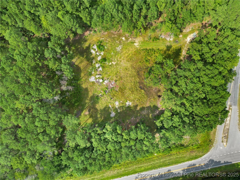 7525 Highway 210 Autryville, NC 28318 - Photo 2 of 8 Drone Photo 1