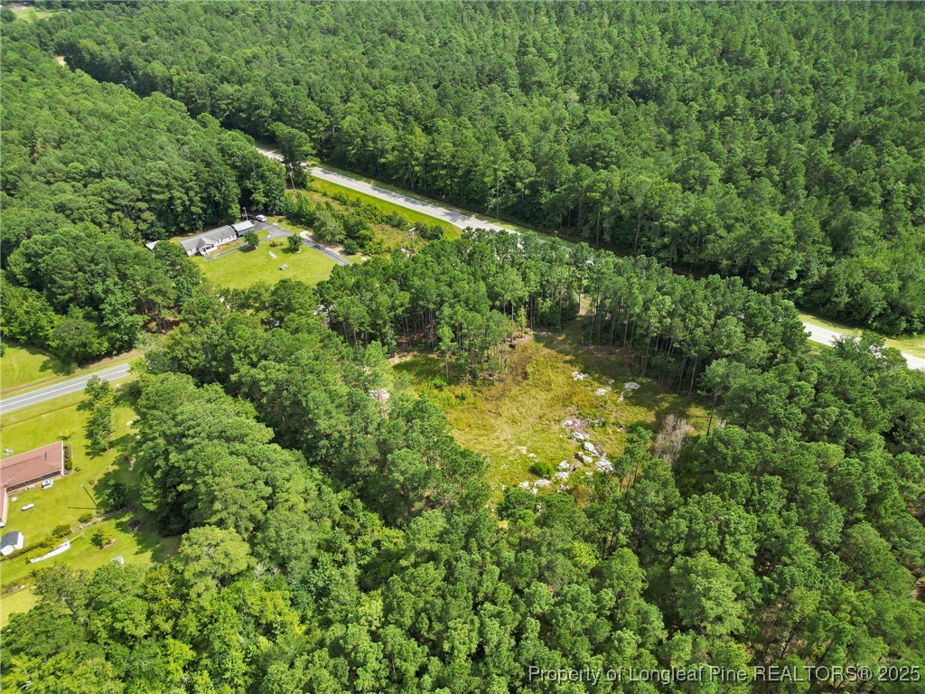 7525 Highway 210 Autryville, NC 28318 - Photo 3 of 8 Drone Photo 1