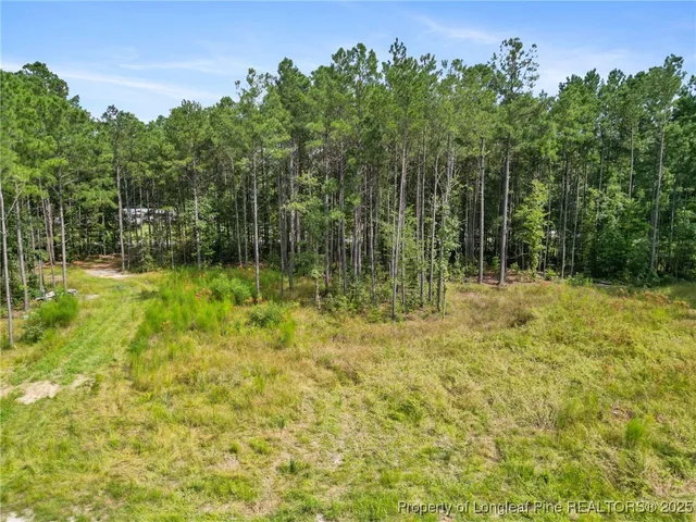 $115,000 | 7525 Highway 210, Autryville, NC 28318