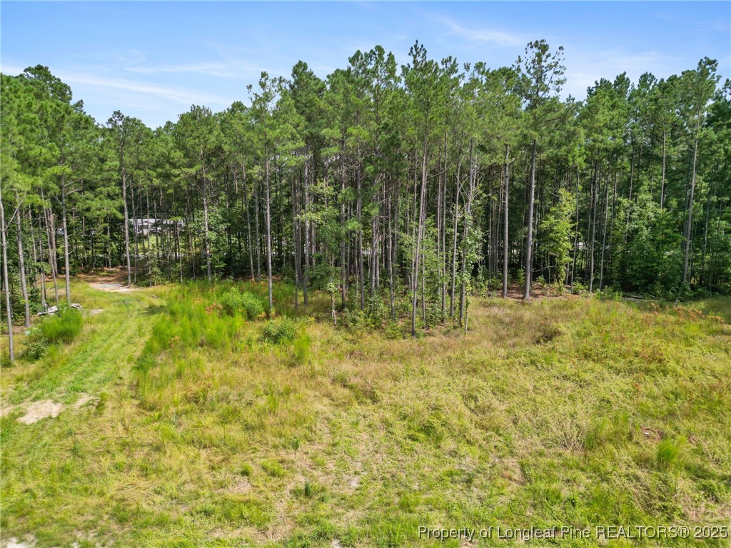 7525 Highway 210 Autryville, NC 28318 - Photo 4 of 8 Drone Photo 1