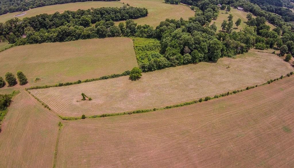 295 Harry Hall Road Fairview, TN 37062 - Photo 29 of 30 Gallery Image 29