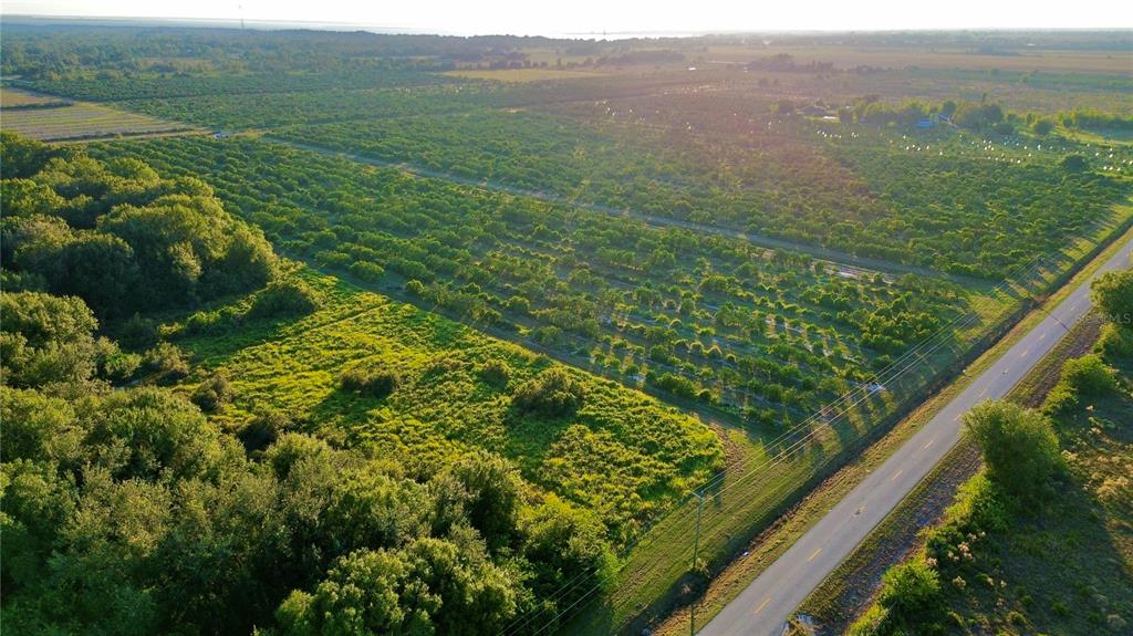 2233 Hicks Road Lorida, FL 33857 - Photo 4 of 5 a view of a lush green forest with a lush green hillside