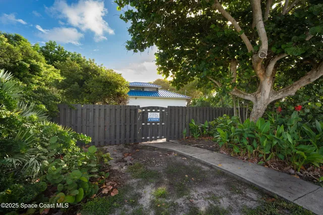 a view of a back yard