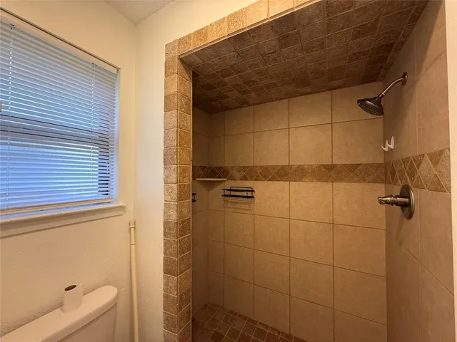 a bathroom with a shower and a toilet