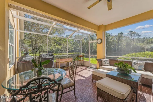 a view of a flower in a garden