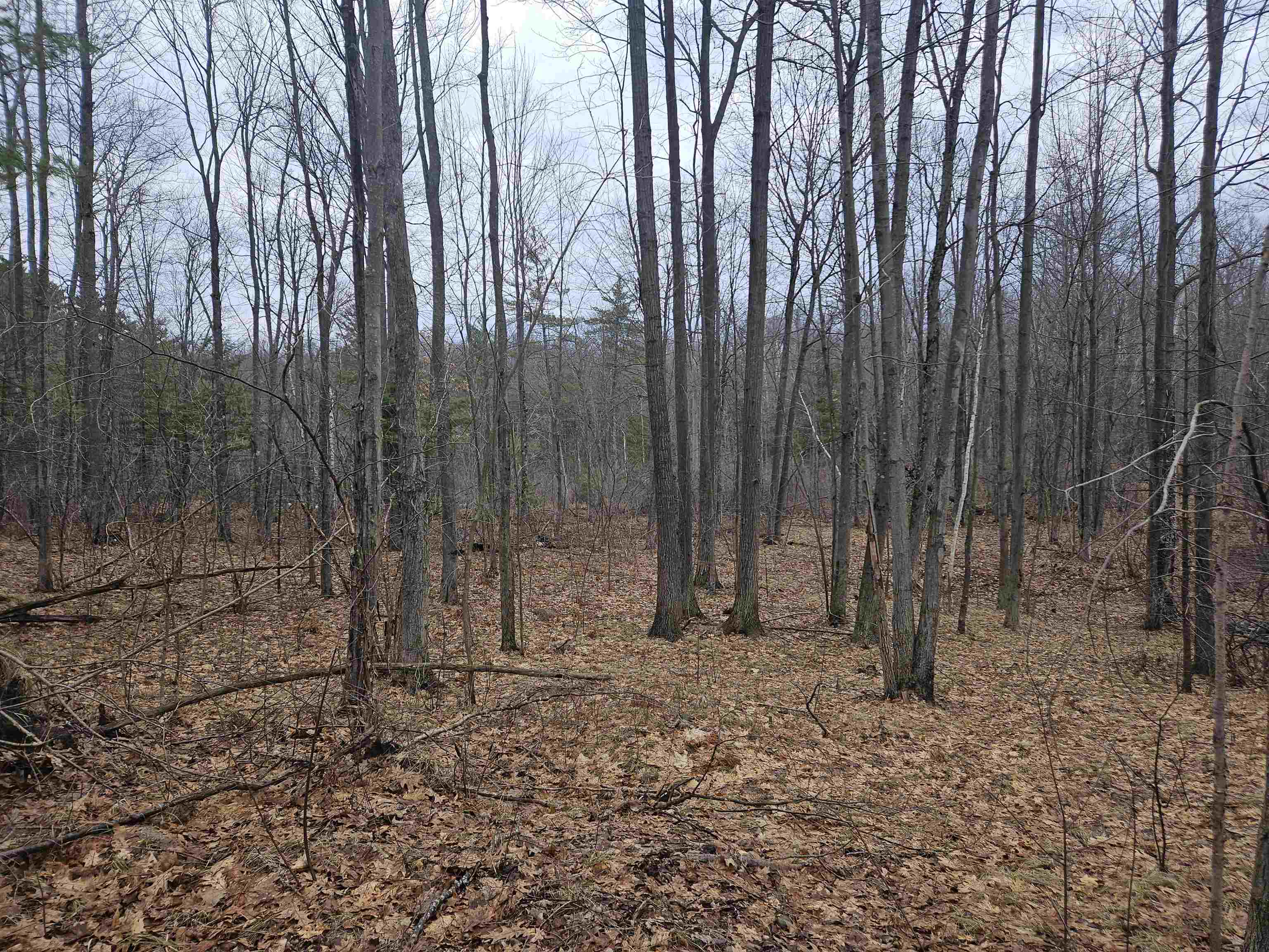 2236 Cedar Road Harrison, MI 48625 - Photo 29 of 54