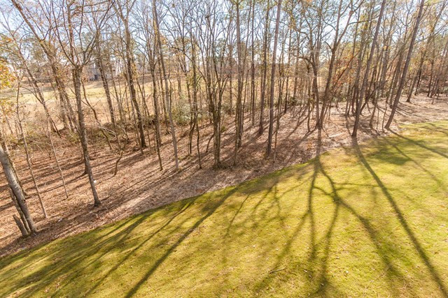 978 Bartram Ridge Evans, GA 30809 - Photo 43 of 46