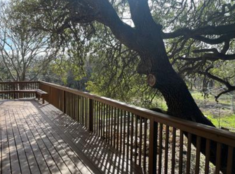 230 Six Pines Road San Marcos, TX 78666 - Photo 14 of 21 a view of balcony with wooden floor and trees