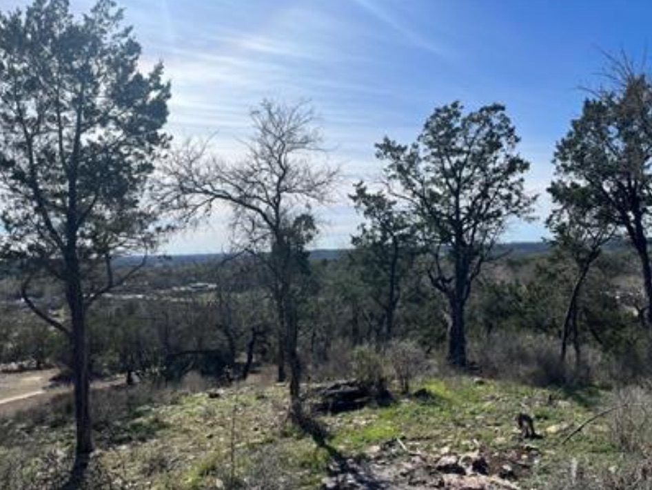 230 Six Pines Road San Marcos, TX 78666 - Photo 20 of 21 a view of a forest filled with trees