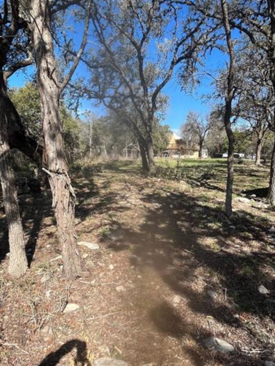 230 Six Pines Road San Marcos, TX 78666 - Photo 21 of 21 a view of a yard with trees