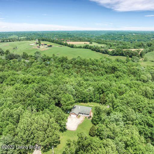 697 Wooded Ridge Road Sulphur, KY 40070 - Photo 21 of 83 VHJ2gEaI