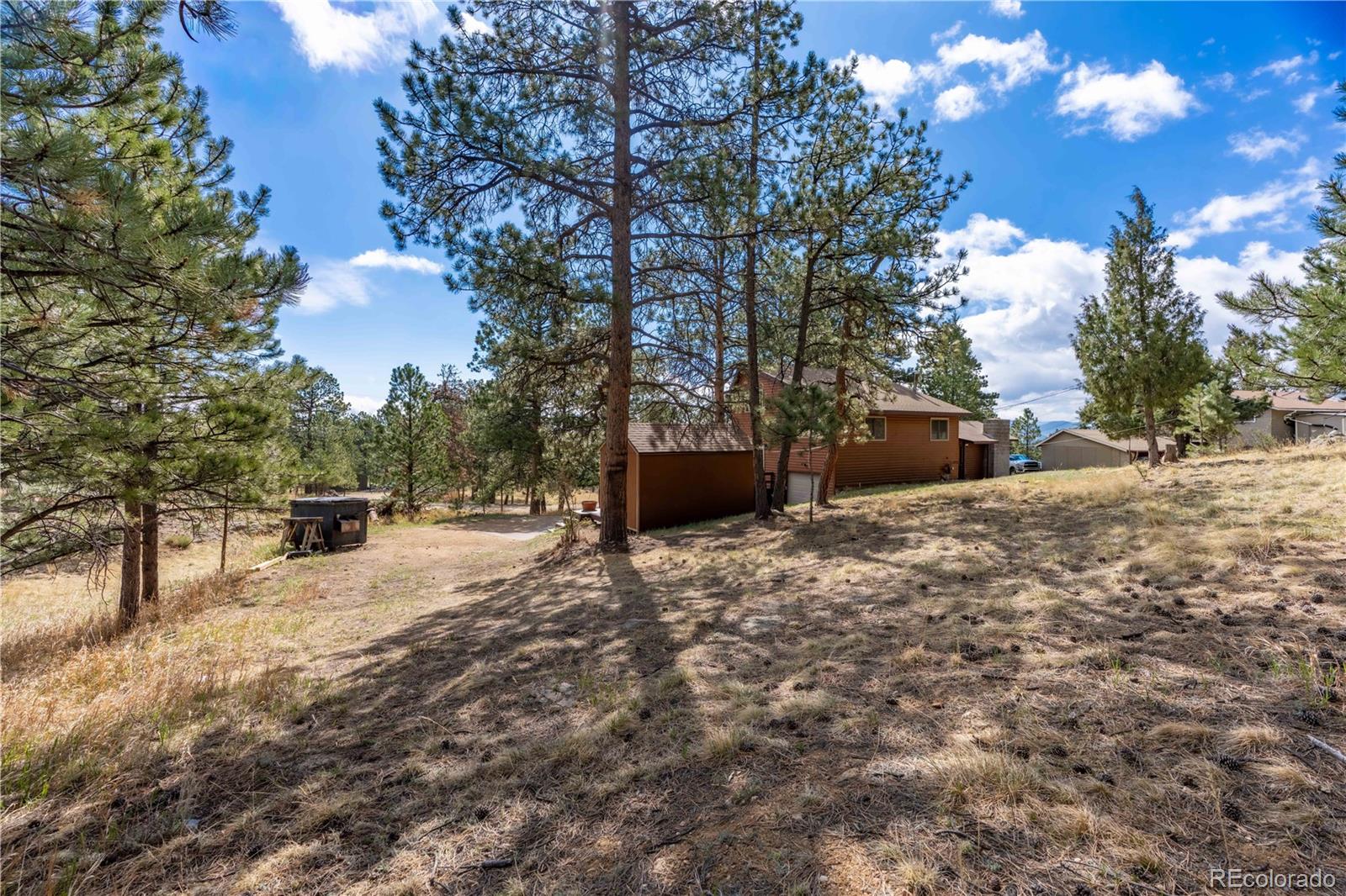43 Doe Circle Bailey, CO 80421 - Photo 20 of 35