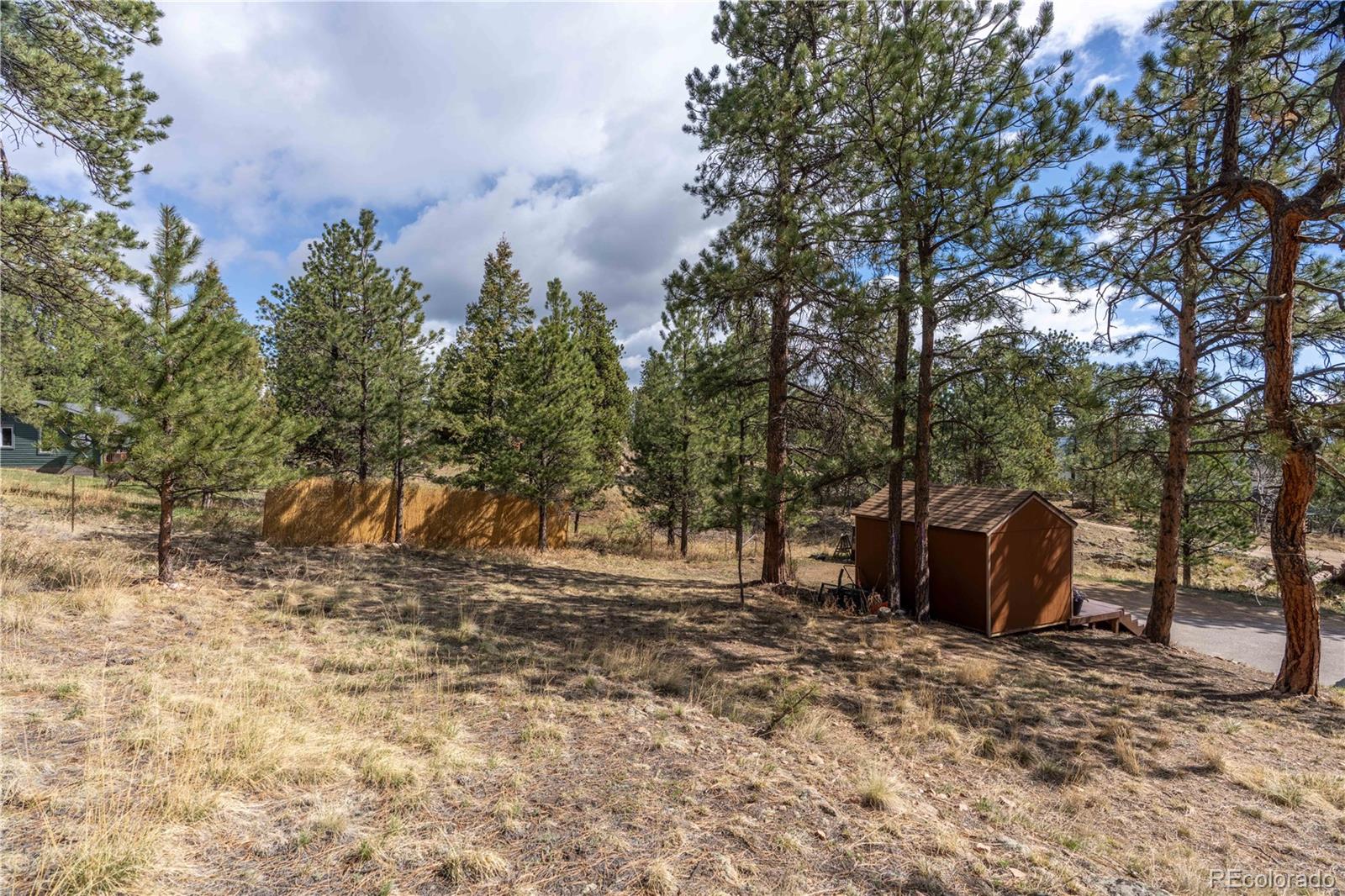43 Doe Circle Bailey, CO 80421 - Photo 22 of 35
