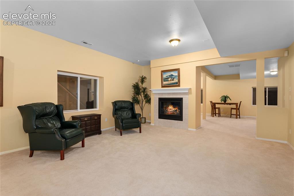 5575 Butler Court Colorado Springs, CO 80918 - Photo 33 of 42 Basement family room #1