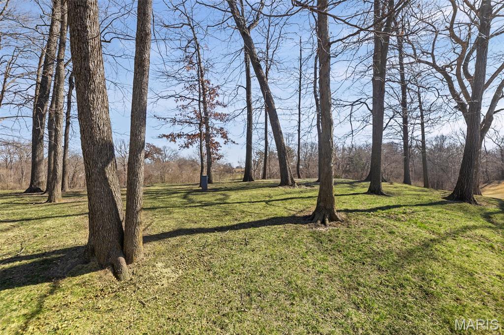 7370 Timberpoint Court Fairview Heights, IL 62208 - Photo 8 of 48