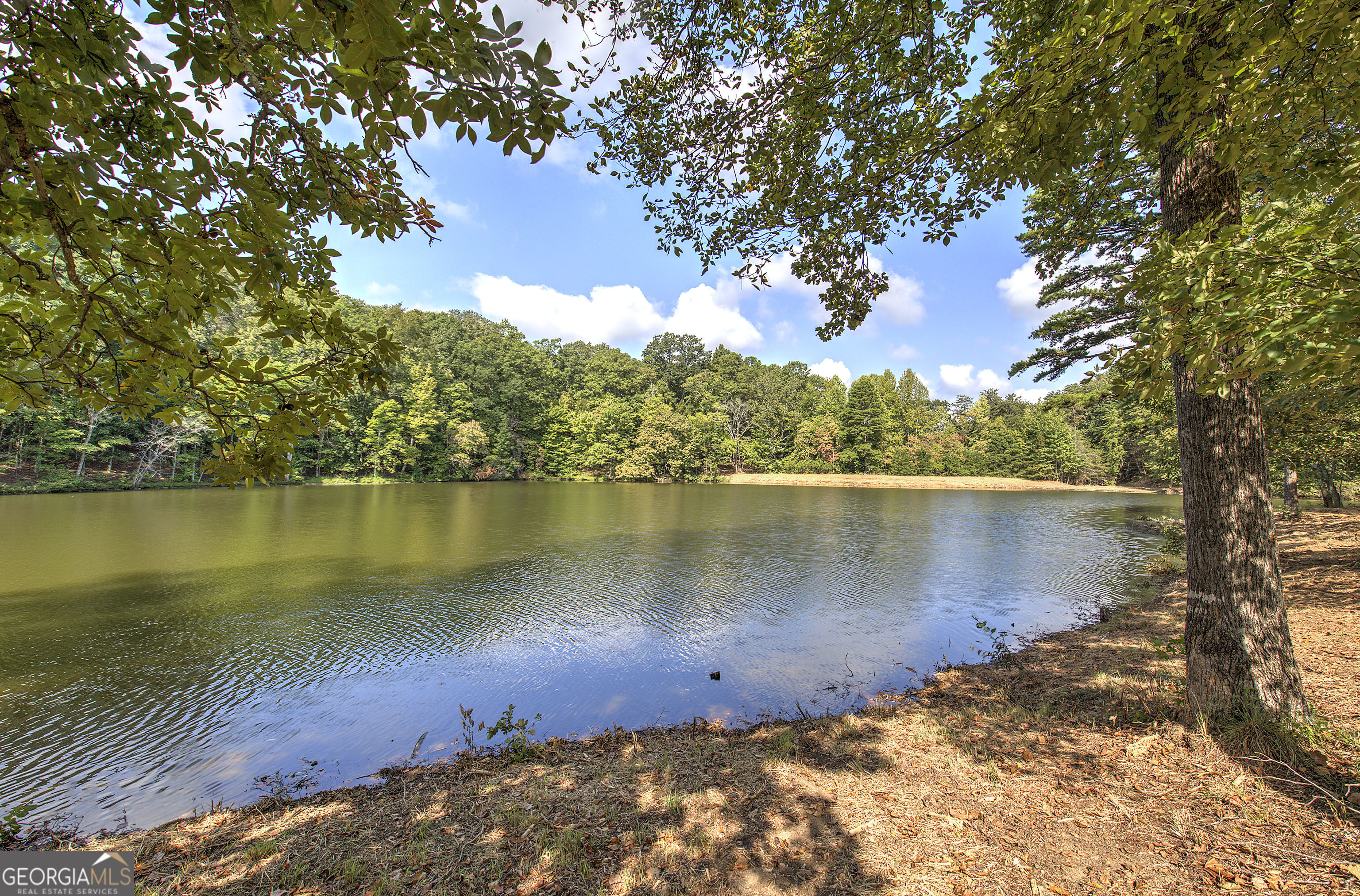 1218 Hightower Road Cedartown, GA 30125 - Photo 18 of 111 Gallery Image 18