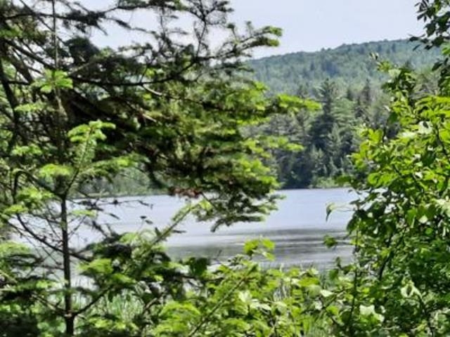 Stump Road Errol, NH 03579 - Photo 1 of 24 Gallery Image 1