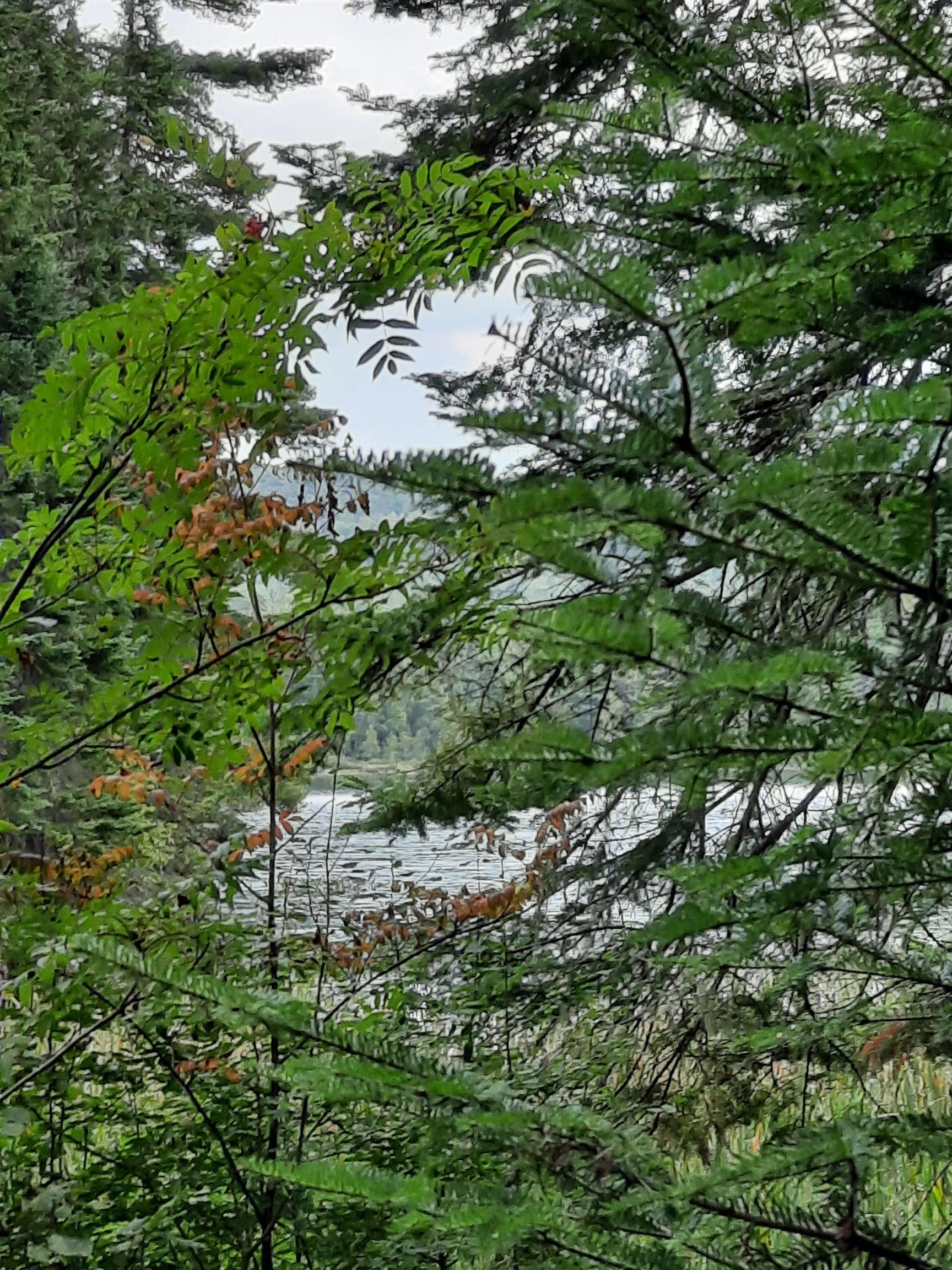 Stump Road Errol, NH 03579 - Photo 2 of 24 Gallery Image 2