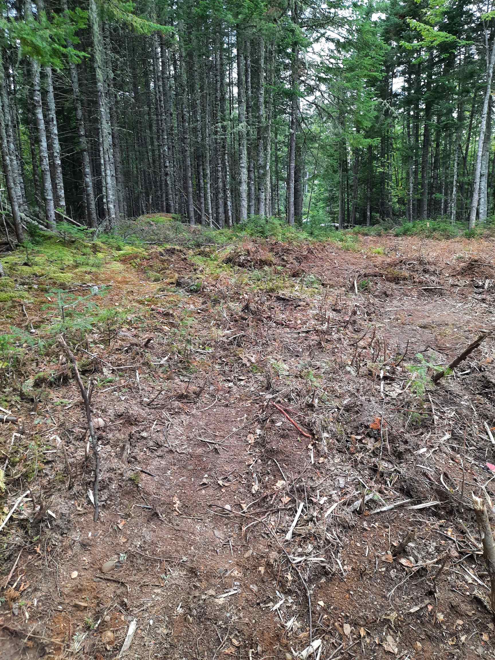 Stump Road Errol, NH 03579 - Photo 11 of 24 Gallery Image 11