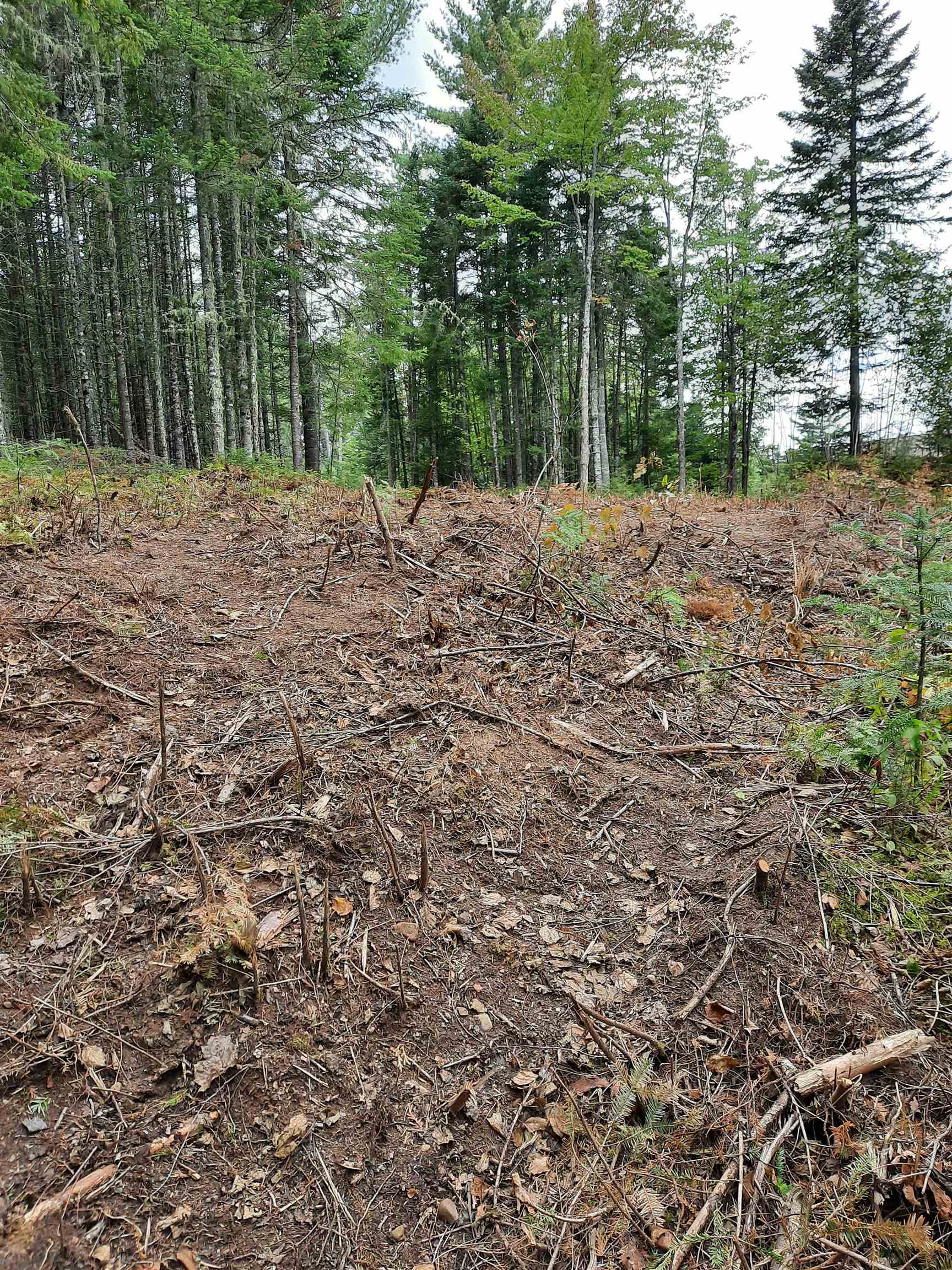 Stump Road Errol, NH 03579 - Photo 12 of 24 Gallery Image 12