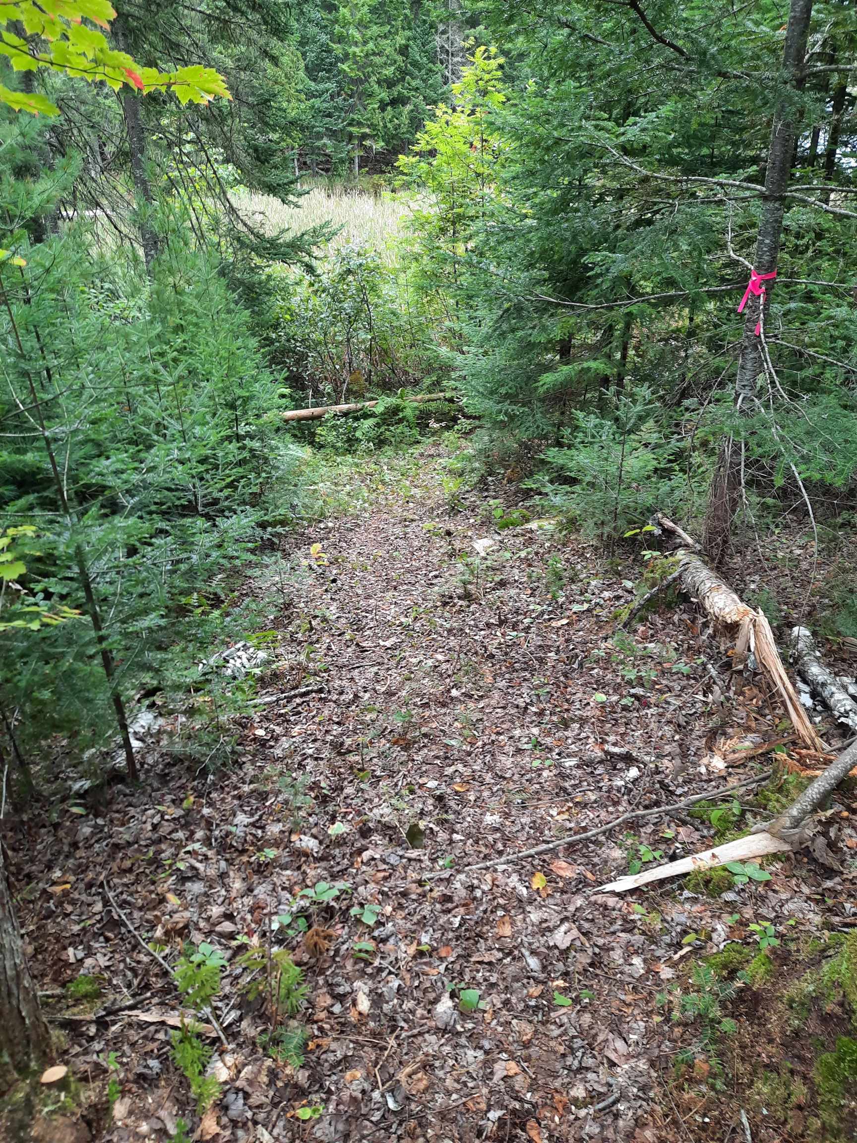 Stump Road Errol, NH 03579 - Photo 13 of 24 Gallery Image 13