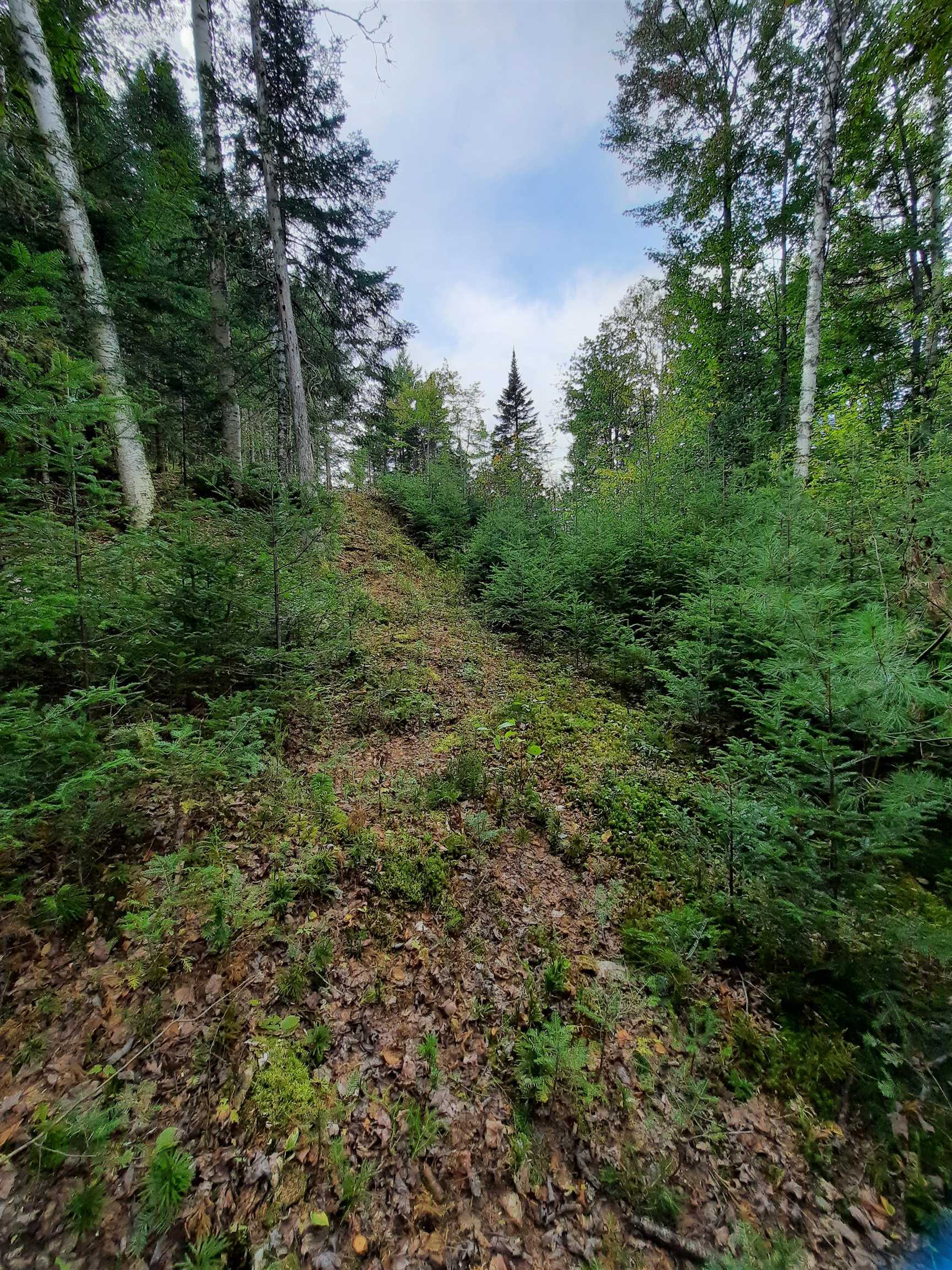 Stump Road Errol, NH 03579 - Photo 17 of 24 Gallery Image 17