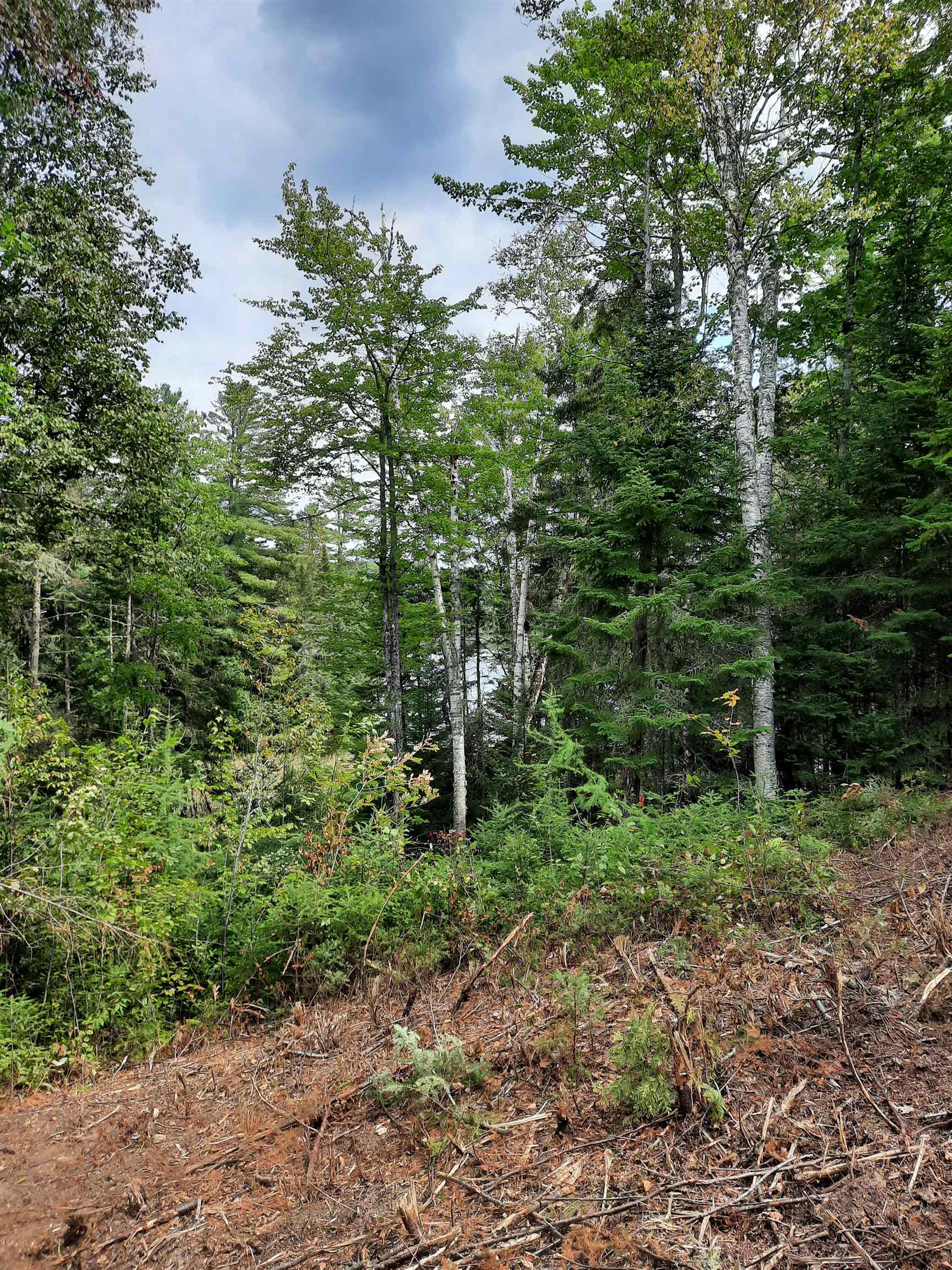 Stump Road Errol, NH 03579 - Photo 20 of 24 Gallery Image 20