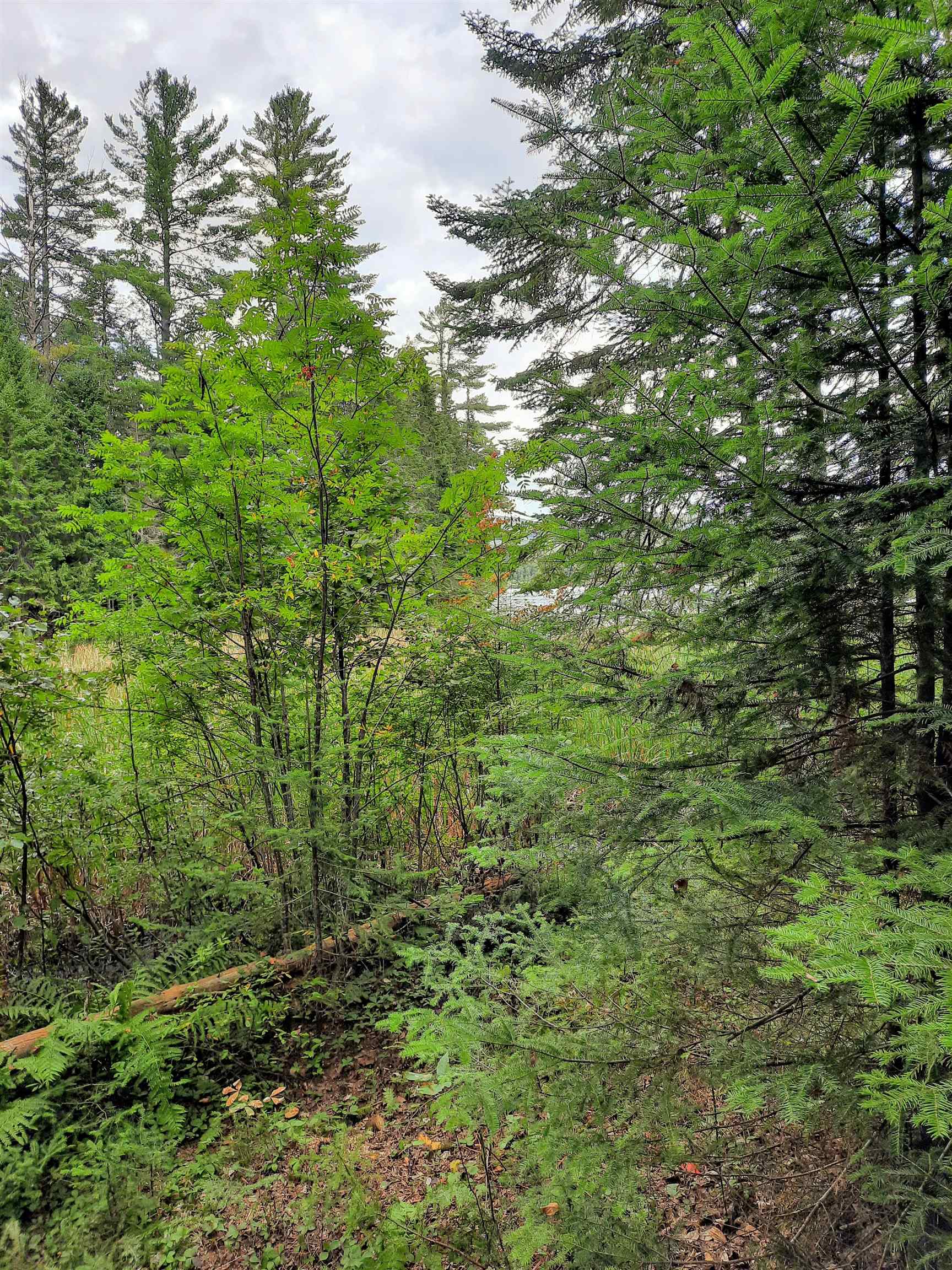 Stump Road Errol, NH 03579 - Photo 3 of 24 Gallery Image 3