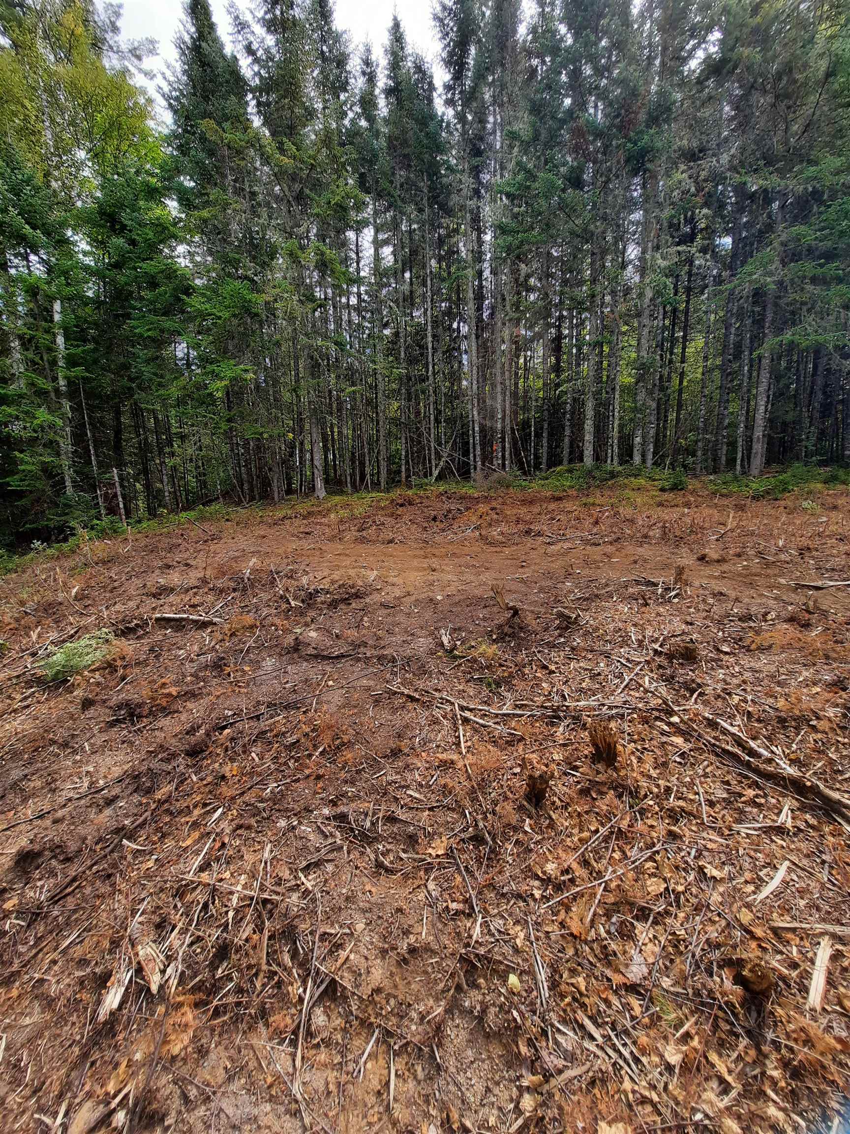 Stump Road Errol, NH 03579 - Photo 22 of 24 Gallery Image 22