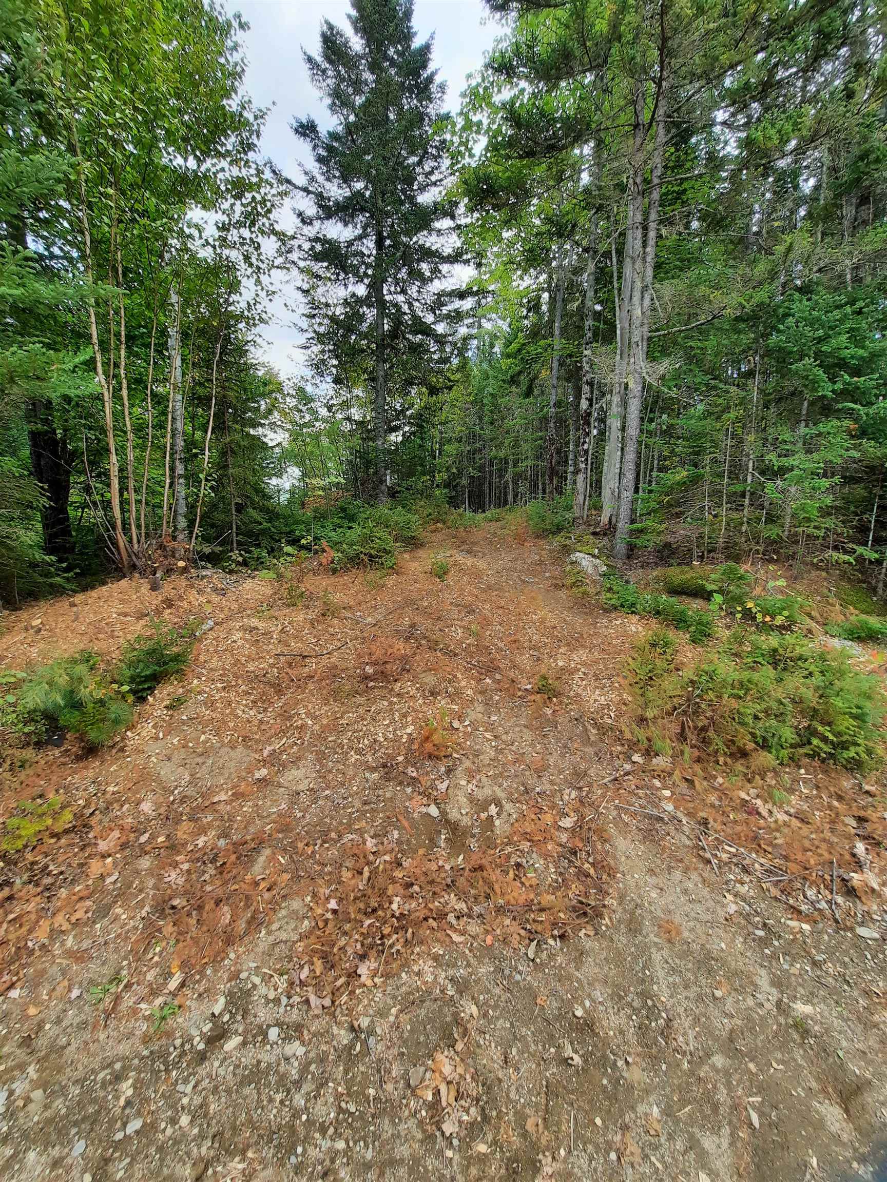 Stump Road Errol, NH 03579 - Photo 23 of 24 Gallery Image 23